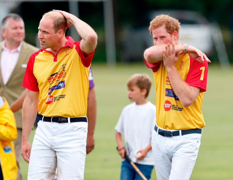 Принц Гарри и принц Уильям участвуют в благотворительном матче по поло Jerudong Park Trophy в Cirencester Park Polo Club 15 июля 2017,
