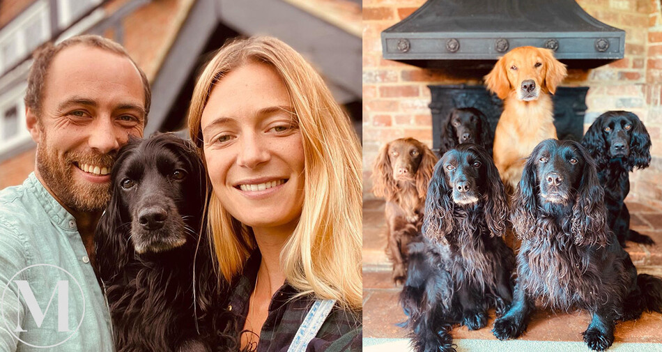 Джеймс Миддлтон и Ализи Тевенет в компании своих собак, 6 августа 2021 года, Великобритания 