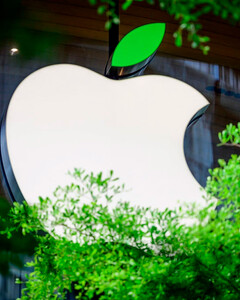 Apple подала заявку на интеллектуальную собственность на изображения яблок сорта «Гренни Смит» в Швейцарии