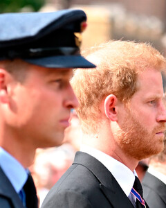 «Это ужасно печальное зрелище»: Гарри умолял принца Уильяма о примирении во время своего визита в Великобританию