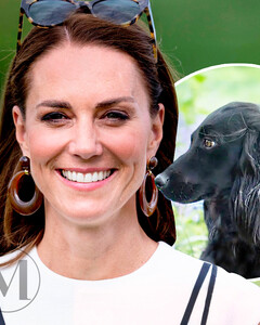 Верный друг всегда рядом: Кейт Миддлтон и принц Уильям взяли с собой собаку на благотворительный матч по поло
