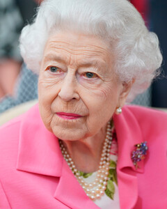 Елизавета II в ярко-розовом платье-пальто посетила выставку цветов в Челси на экологически чистом гольф-каре