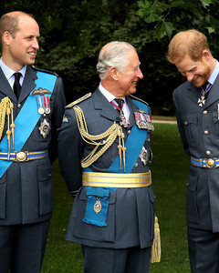 «Папа помнит, папа знает»: принц Чарльз похвалил Гарри и Уильяма в своём новом эссе