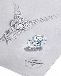 Новое ожерелье Tiffany стало самым дорогим произведением искусства в истории бренда