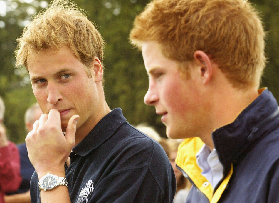 Принц Уильям и принц Гарри, 2005