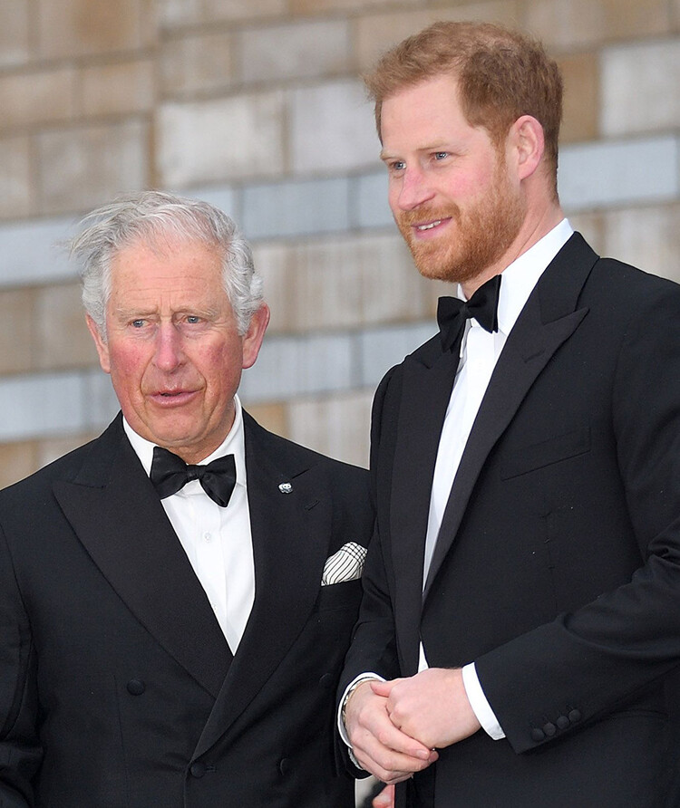 Принц Гарри провёл секретные переговоры с Чарльзом, чтобы уладить разногласия в преддверии платинового юбилея королевы