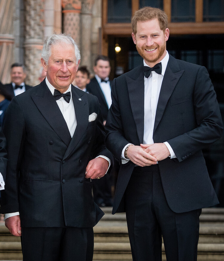 Принц Чарльз, принц Уэльский, и принц Гарри, герцог Сассекский приняли участие в мировой премьере фильма &laquo;Наша планета&raquo; в Музее естественной истории 4 апреля 2019 года в Лондоне, Англия