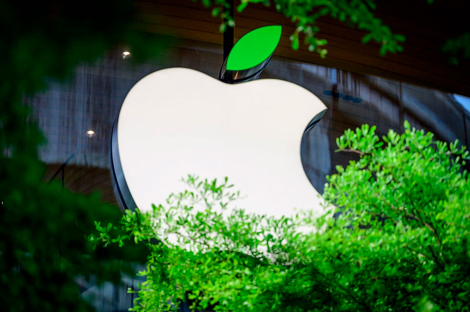Apple подала заявку на интеллектуальную собственность на изображения яблок сорта &laquo;Гренни Смит&raquo; в Швейцарии