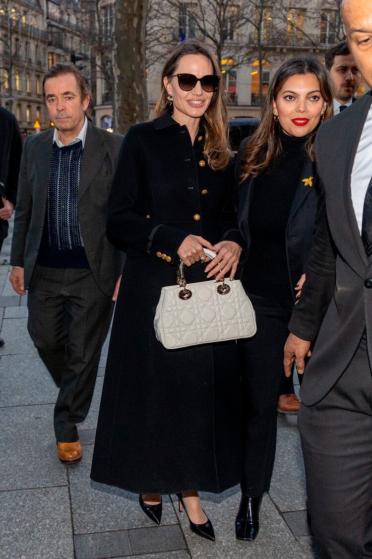 Анджелина Джоли пополнила свой гардероб классических аксессуаров сумкой 95.22 от Dior