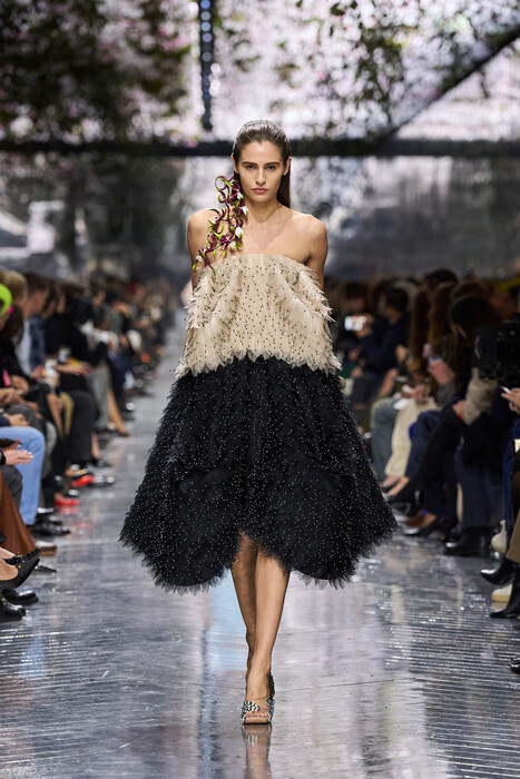 Christian Dior Couture весна-лето 2026