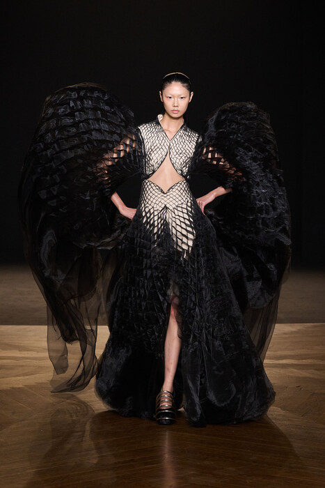 Iris van Herpen Couture Fall 2025 / Iris van Herpen Couture окллекция осень 2025