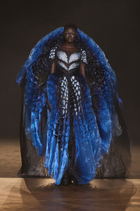 Iris van Herpen Couture Fall 2025 / Iris van Herpen Couture окллекция осень 2025