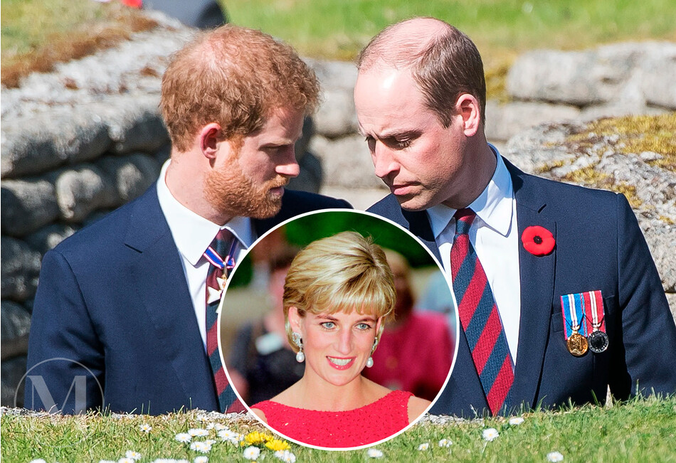 Принц Гарри заявил, что принцесса Диана не позволила бы им с Уильямом испортить братские отношения