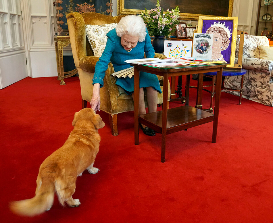 Елизавета II не может выгуливать своих любимых собак из-за проблем со здоровьем