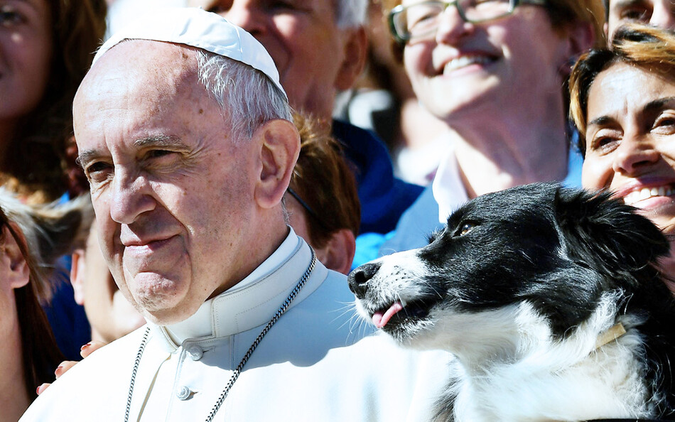 Папа Франциск позирует для фотографии рядом с собакой после своей общей аудиенции на площади Святого Петра в Ватикане 5 октября 2016