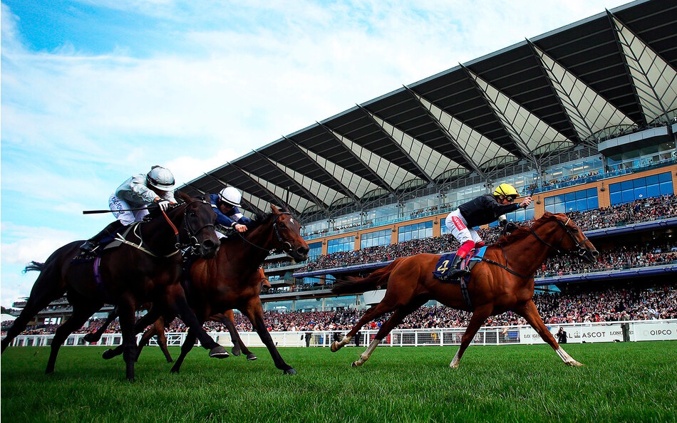 ascot gold cup 2022 betting tips