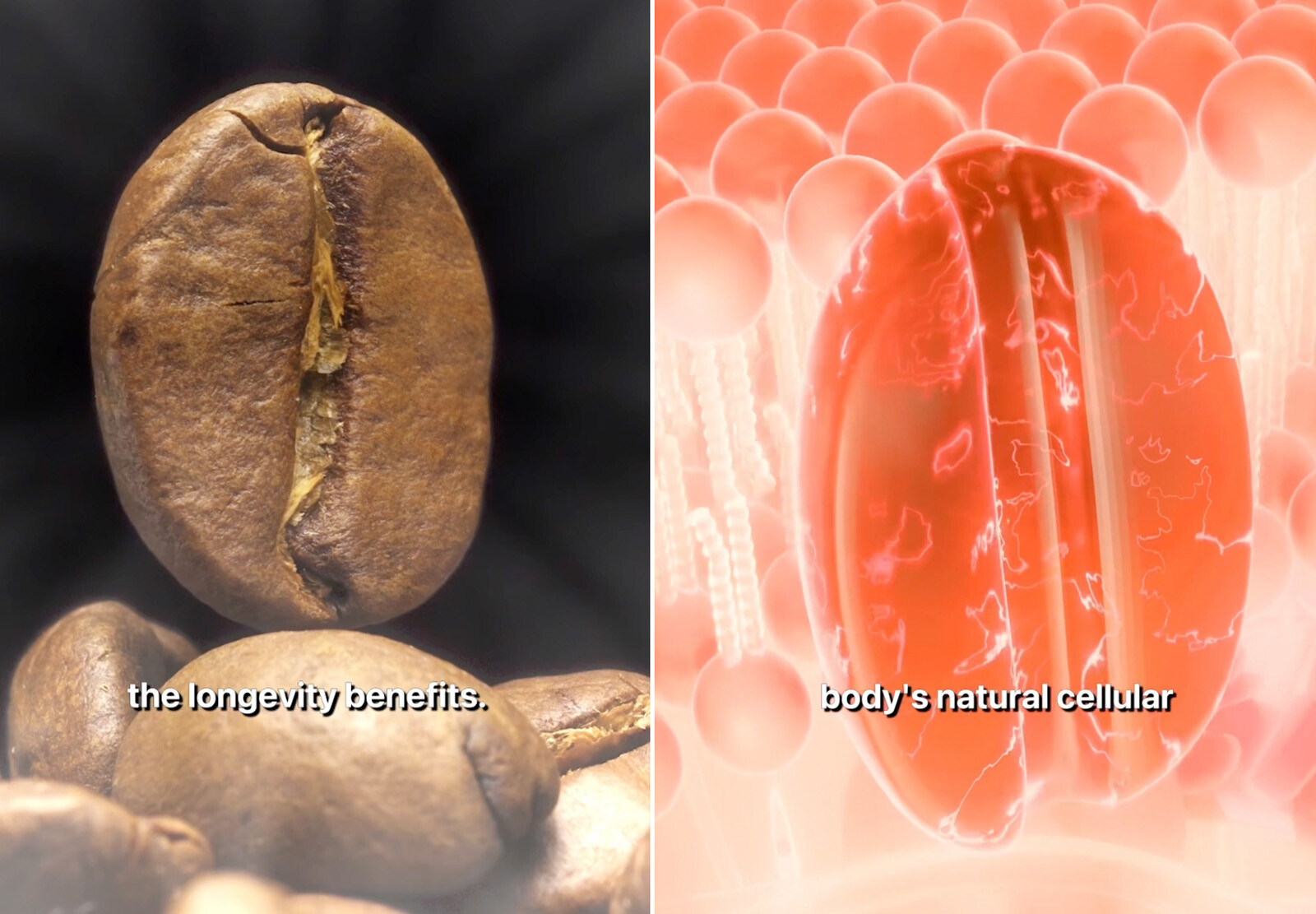 Правда о кофе, которую вы не знали