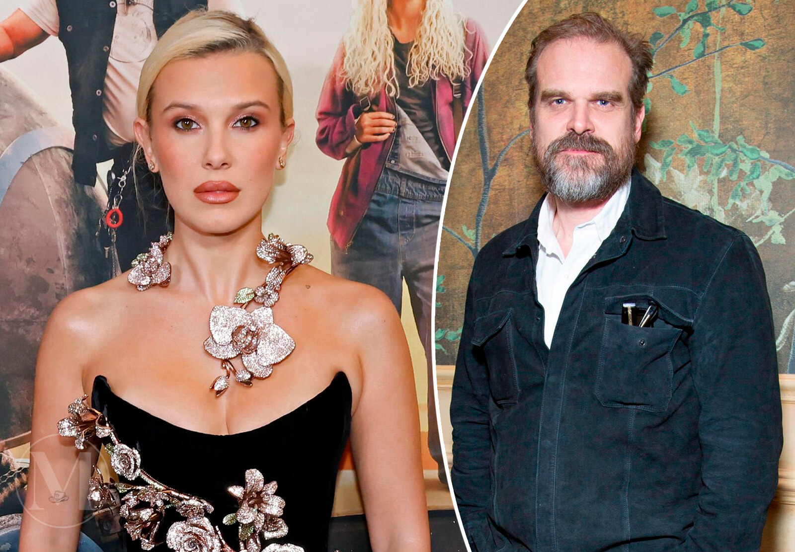 Милли Бобби Браун подала жалобу на домогательства и травлю со стороны Дэвида Харбора