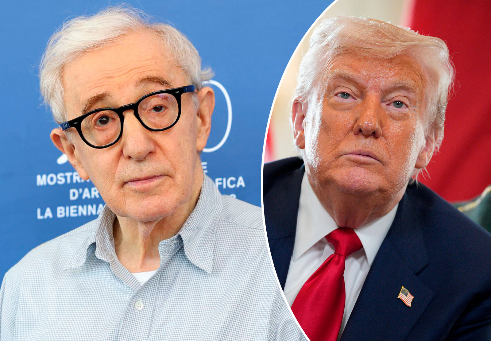 Вуди Аллен хотел бы снова снять Дональда Трампа в своём фильме