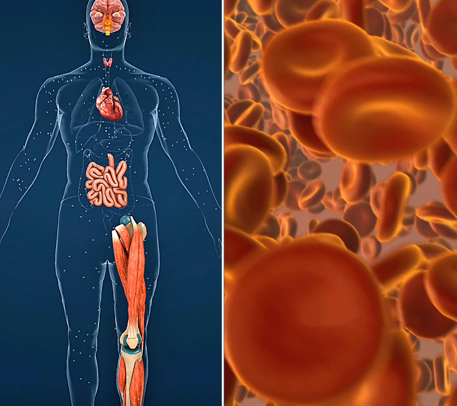 Правда о кофе, которую вы не знали