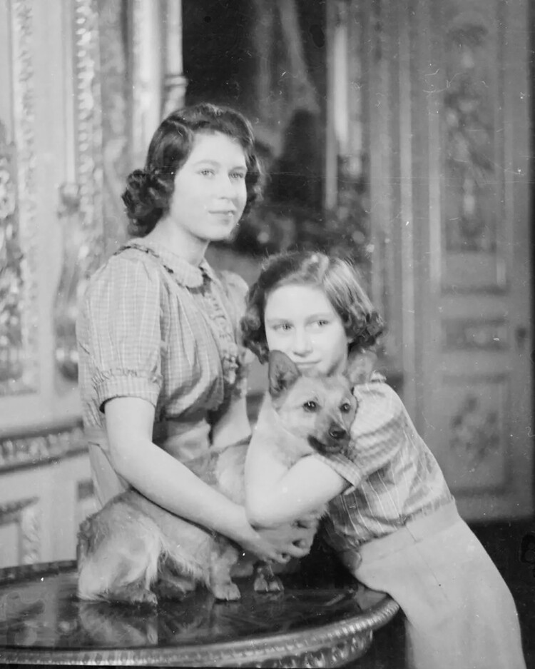 Букингемский дворец отмечает Международный день собак, опубликовав старинный снимок с Елизаветой II