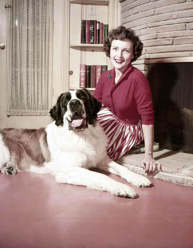 Бетти Уайт, собака по кличке Сторми дома 1954