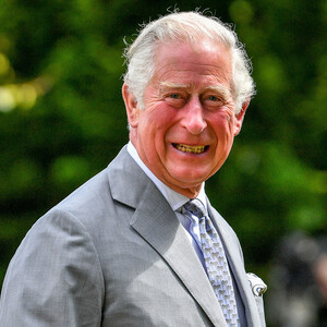 Принц Чарльз может отобрать титулы и лишить содержания большинство членов королевской семьи