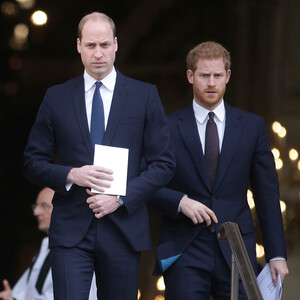 Эксперты по чтению по губам выяснили, о чём принцы Гарри и Уильям говорили на похоронах Филиппа
