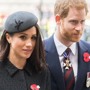 Принц Гарри и Меган Маркл планируют посетить в новом году семейные праздники в королевском дворце