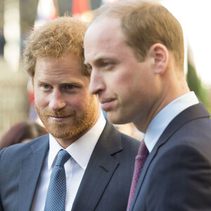 Как принцы Уильям и Гарри реагируют на расследование скандального интервью их матери