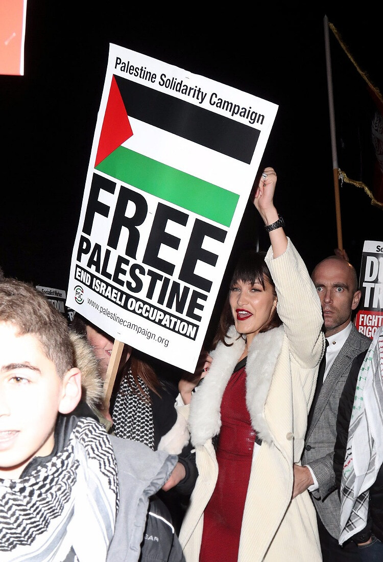 Белла Хадид раскритиковала звёзд, которые не защищают Палестину