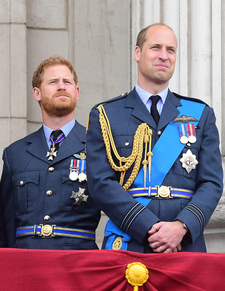 Помирятся ли принцы Гарри и Уильям во время визита Кембриджских в США