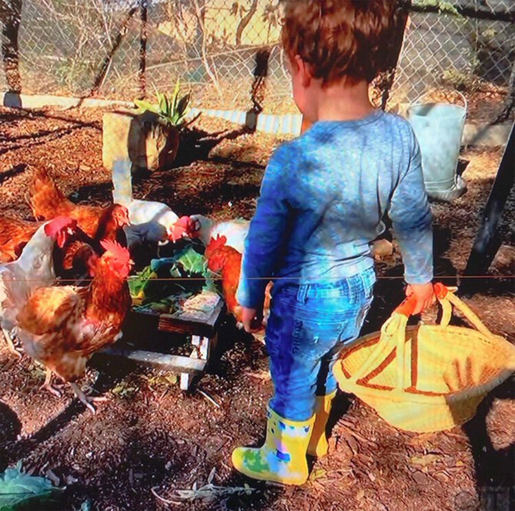 Сын Меган Маркл и принца Гарри Арчи играет в курятнике &laquo;гостинице для цыплят&raquo; на заднем дворе резиденции Сассекских в Монтесито, Калифорния 2021