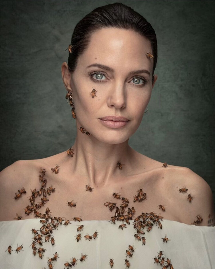Анджелина Джоли встала на защиту пчёл