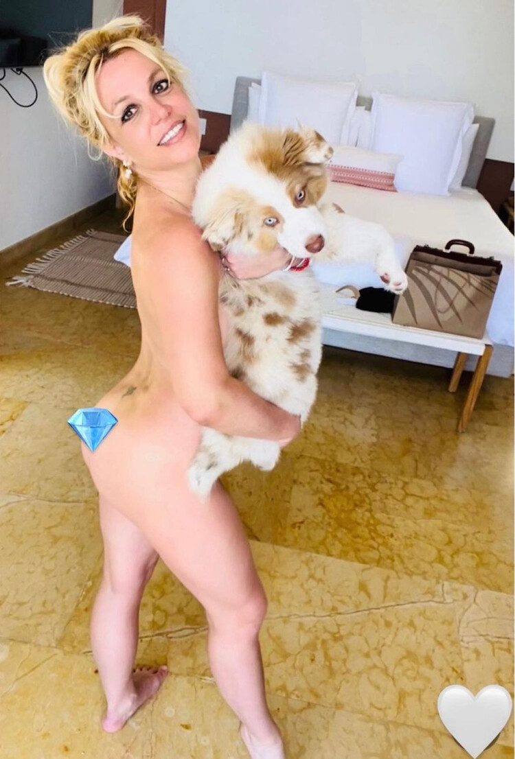 Беременная Бритни Спирс сияет от счастья в обнажённой фотосессии со своим щенком 