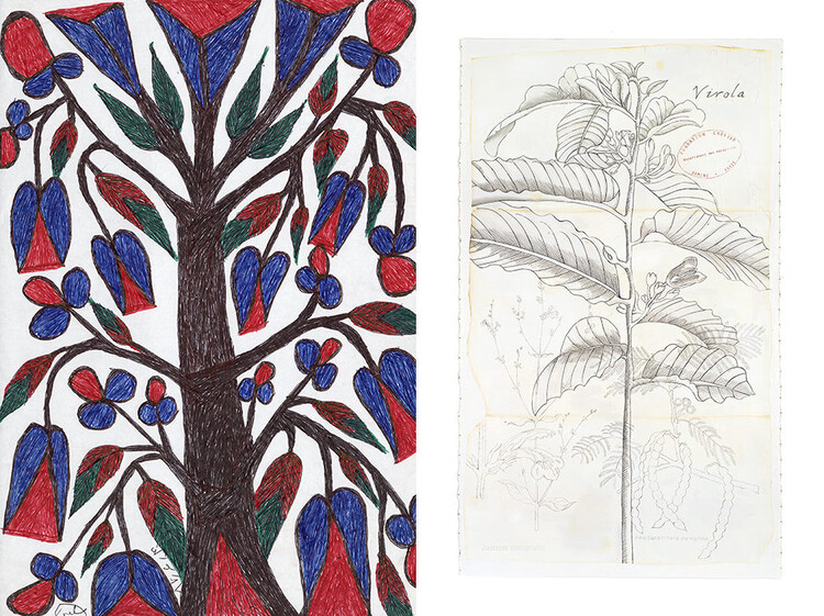 Фонд Cartier откроет в Париже выставку Trees о деревьях