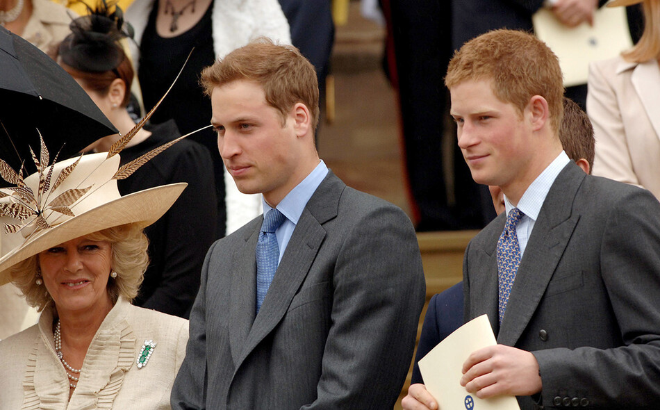 Камилла Паркер-Боулз, принц Уильям и принц Гарри, 2006