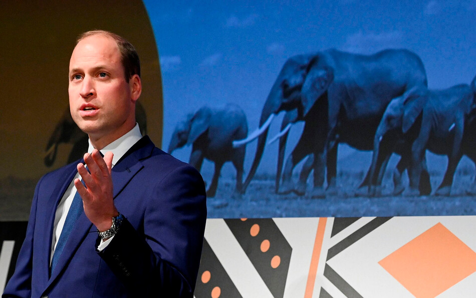 Принц Уильям, герцог Кембриджский, произносит речь на церемонии вручения премии Tusk Conservation Awards призывая спасти диких слонов по всему миру 22 ноября 2021 года в Лондоне, Англия