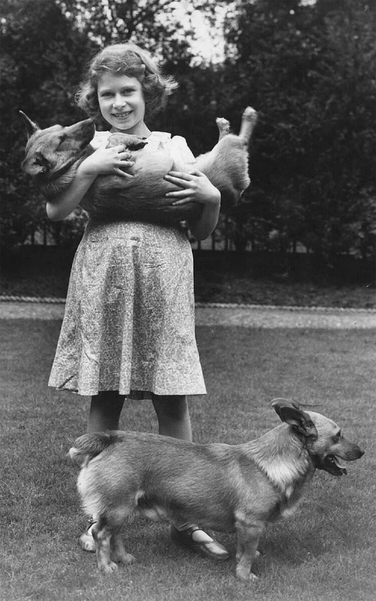 Королева Елизавета ll в возрасте 10 лет со своими домашними собаками