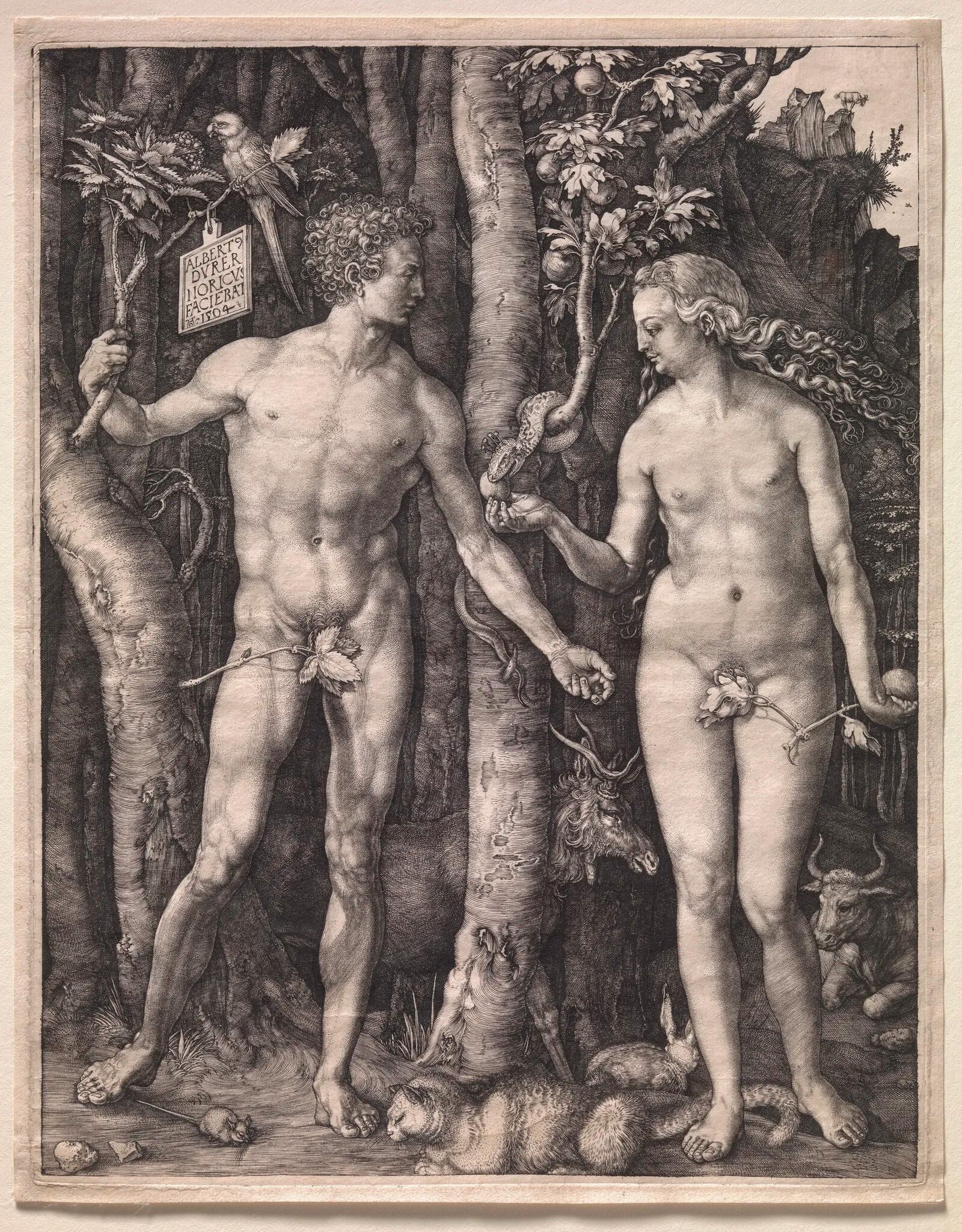 Гравюра Альбрехта Дюрера 1504 года, изображающая Адама и Еву