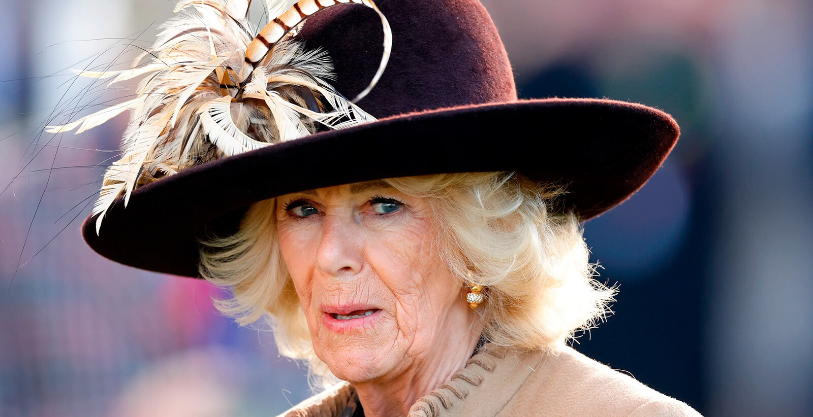 Королева Камилла считает, что Меган Маркл &laquo;промыла мозги&raquo; принцу Гарри