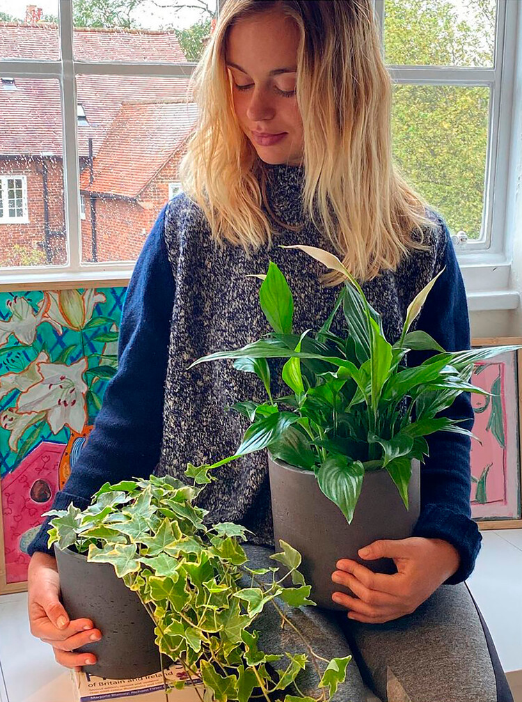 Леди Амелия сделала фото с домашними цветами в квартире в Ноттинг-Хилле, 2022г.