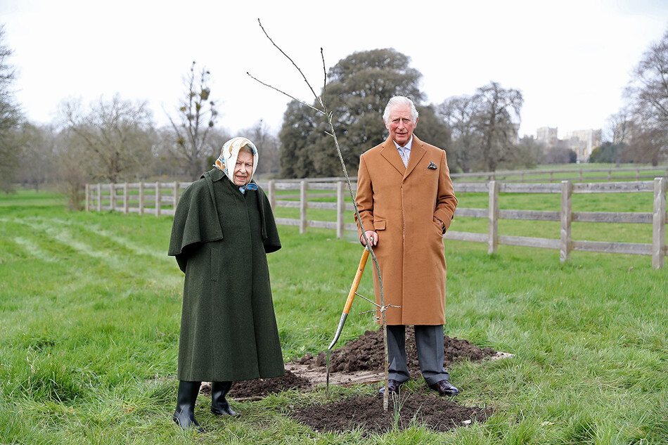Королева Елизавета II и принц Чарльз посадили дерево на территории Виндзорского замка, 2021