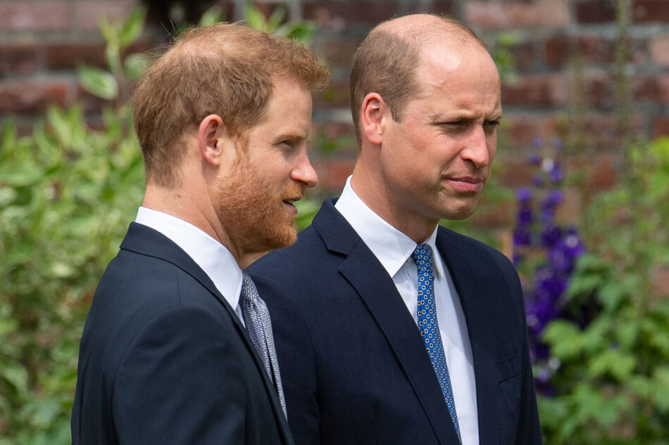 Принцы Гарри и Уильям не выступили с речью на открытии мемориала принцессе Диане