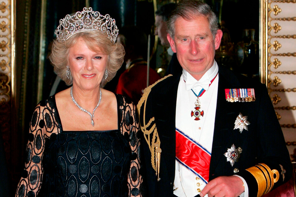 После свадьбы Камилла взяла титул герцогини Корнуолльской, хотя имела право называться принцессой Уэльской. Торжественный прием в Букингемском дворце, осень 2005 года