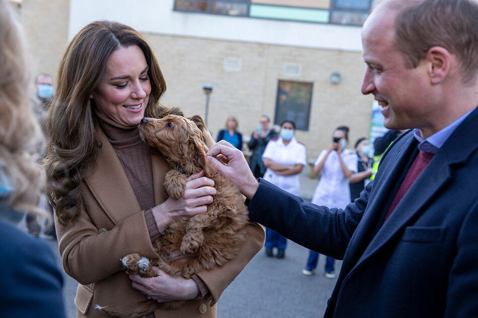 Принц Уильям, герцог Кембриджский, и Кэтрин, герцогиня Кембриджская, знакомятся с новым терапевтическим щенком Альфи во время визита в больницу Клитеро 20 января 2022 года в Клитеро, Восточный Ланкашир, Англия