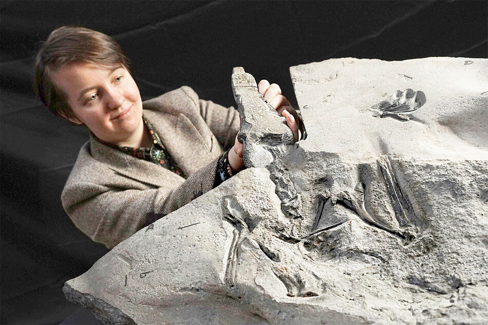 Аспирантка Эдинбургского университета Наталья Ягельская с крупнейшим в мире юрским птерозавром, обнаруженным на острове Скай