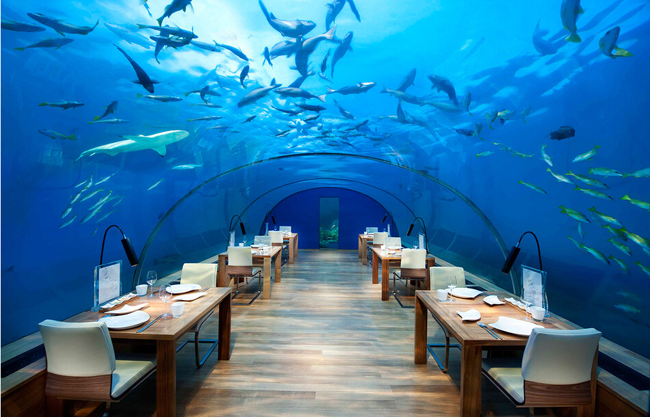 Ресторан Ithaa Undersea Restaurant, Мальдивы
