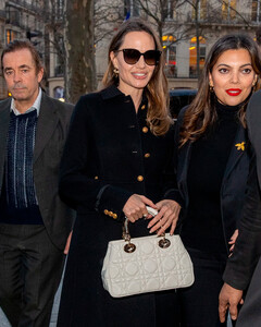 Анджелина Джоли пополнила свой гардероб классических аксессуаров сумкой 95.22 от Dior