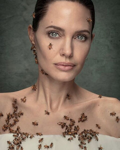Анджелина Джоли встала на защиту пчёл